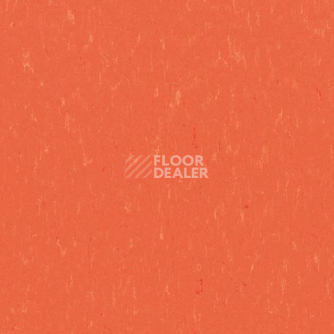 Линолеум Forbo Marmoleum Solid Piano 3651-365135 zinnia фото 1 | FLOORDEALER
